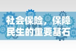 社会保险，民生保障的重要基石