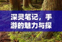 无尽神谕手游，探索未知奇幻世界的乐趣之旅