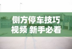 侧方停车技巧视频 新手必看