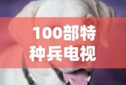 100部特种兵电视剧大全最新英雄使命