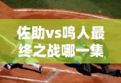 佐助vs鸣人最终之战哪一集