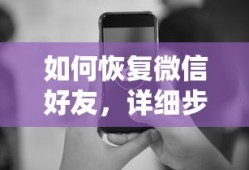 微信好友恢复的详细步骤与实用技巧
