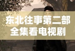 东北往事第二部全集看电视剧