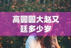高圆圆大赵又廷多少岁