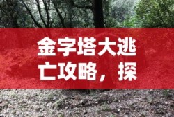 三国志12对战版，策略与荣耀的热血战场