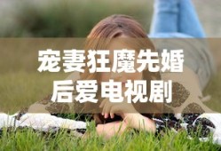 宠妻狂魔先婚后爱电视剧