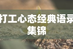 梦幻手游月宫武器选择宝典