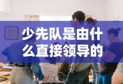 少先队是由中国共产主义青年团直接领导的。