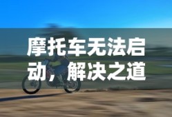 子婴身世之谜，他是何人的孩子？