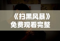 《扫黑风暴》免费观看完整版