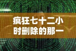 疯狂七十二小时删除的那一段剧情简介