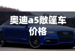 航海王动漫全集免费樱花1129