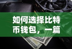如何选择比特币钱包，一篇全面的指南