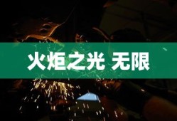 火炬之光 无限