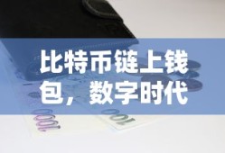 比特币链上钱包，数字时代的财富管理新趋势