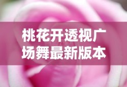 桃花开透视广场舞最新版本更新内容