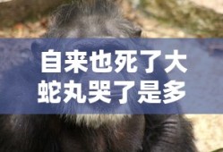 自来也死了大蛇丸哭了是多少集