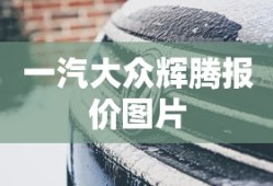 一汽大众辉腾报价图片
