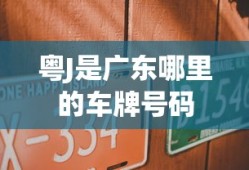 粤J是广东哪里的车牌号码