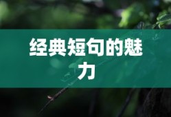 狩猎原野，手游组队探险的无限魅力