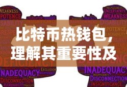 比特币热钱包，理解其重要性及安全使用指南
