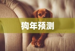 兄弟篮球文案