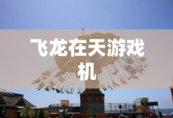 飞龙在天游戏机