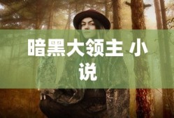 暗黑大领主 小说