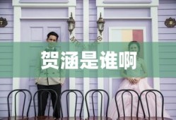贺涵是谁啊