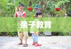 LOL手游中的无畏之狼，狼人角色的独特魅力与挑战