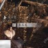 燕云十六声秦采薇怎么结交 秦采薇对话结交攻略