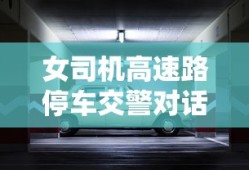 女司机高速路停车交警对话