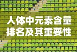 口袋英雄2战神传说