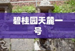 碧桂园天麓一号