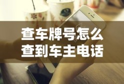 查车牌号怎么查到车主电话