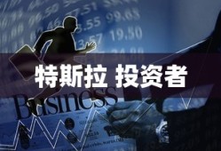 特斯拉 投资者