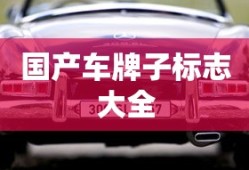 国产车牌子标志大全