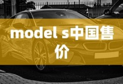 model s中国售价
