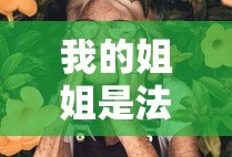 我的姐姐是法官