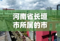 红色警戒秘籍作弊码