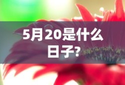 5月20是什么日子?