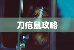 LOL手游更新计划揭秘，206版本上线时间预测及相关内容展望
