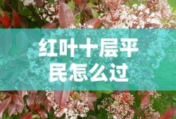 红叶十层平民怎么过