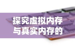 黑狐之风影蒋胜男扮演者