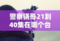 警察锅哥21到40集在哪个台播放