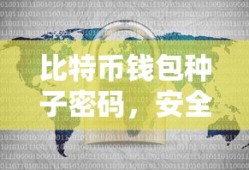 比特币钱包种子密码，安全保护与使用指南