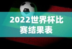 2022世界杯比赛结果表