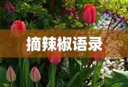 DNF手游，代练的利与弊分析