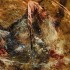 《怪物猎人：荒野》消耗斩味因素介绍