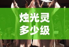 烛光灵多少级进化